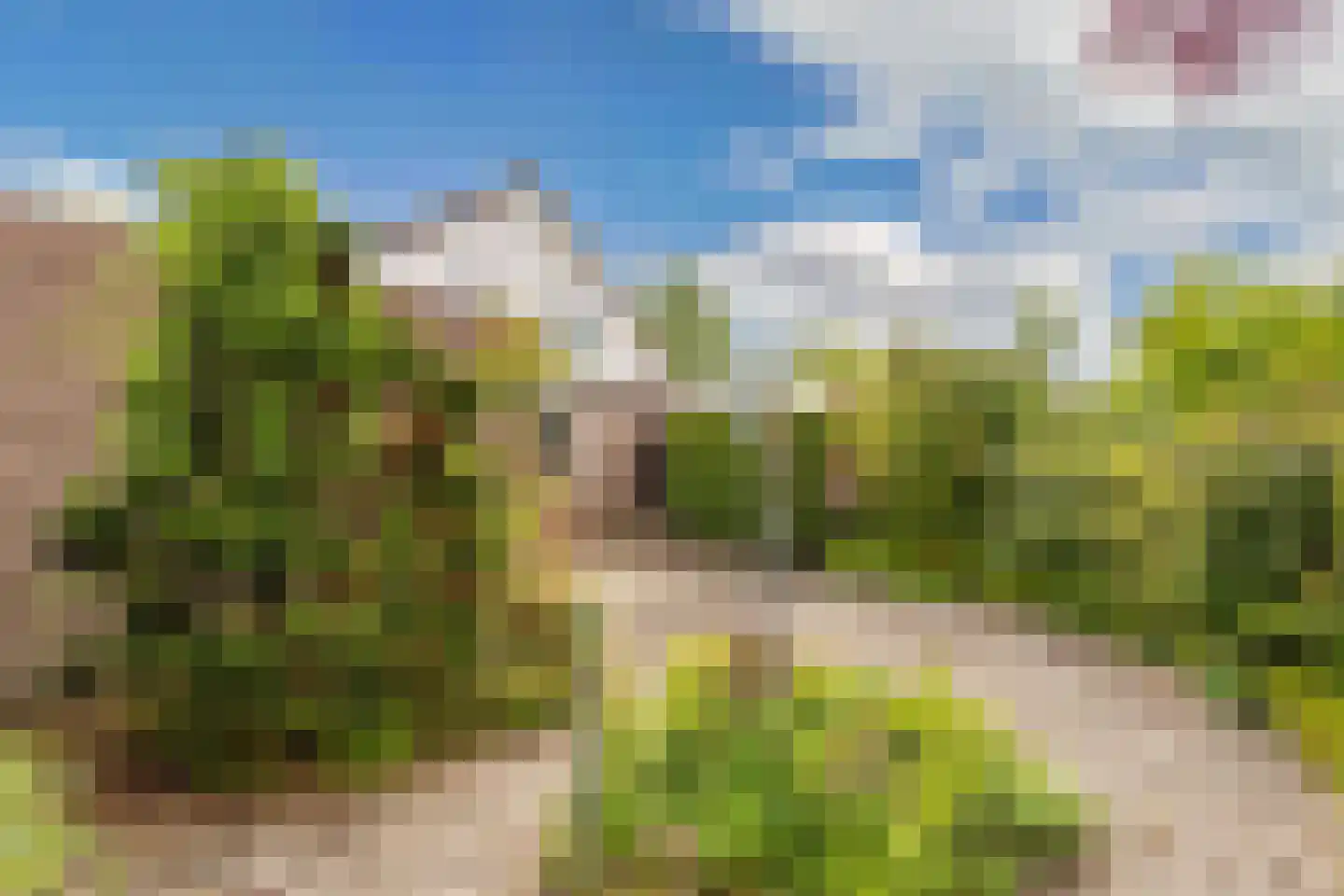 Ellertsveld 10 Emmeloord thumbnail 36