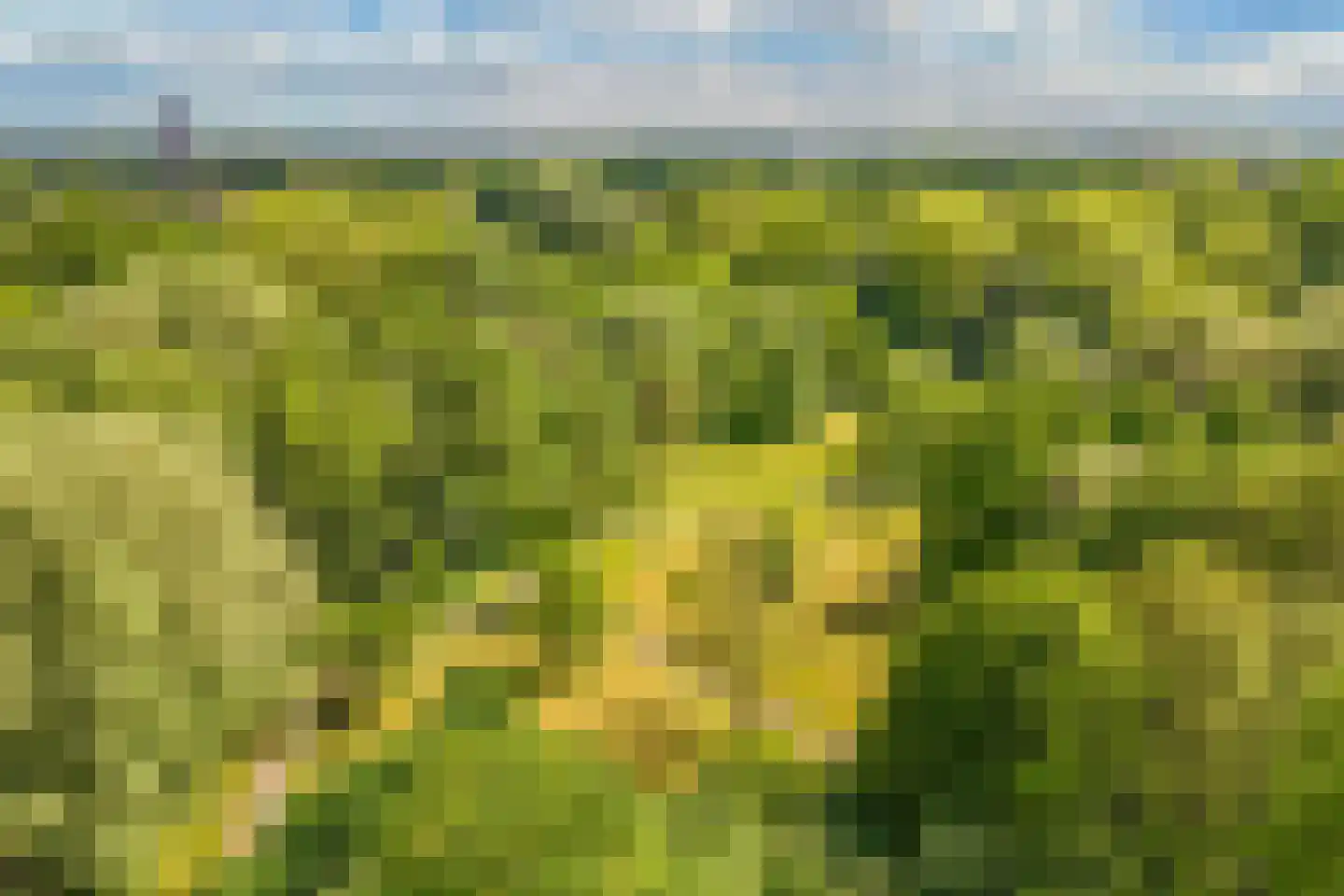 Ellertsveld 10 Emmeloord thumbnail 38