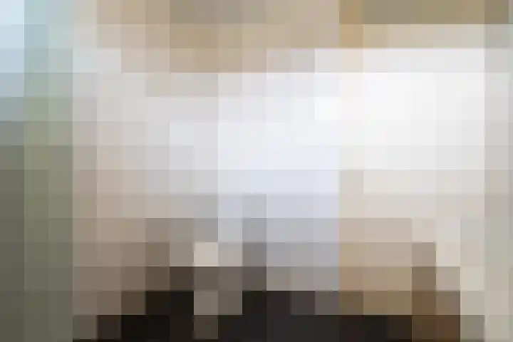 Ellertsveld 10 Veendam thumbnail 17