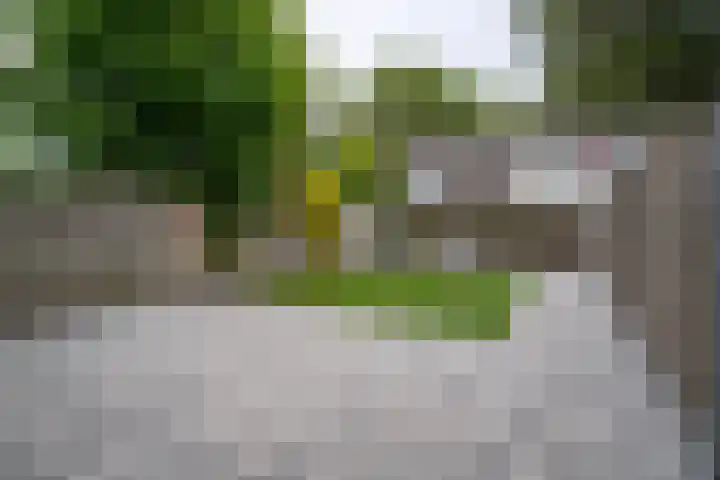 Ellertsveld 10 Veendam thumbnail 20