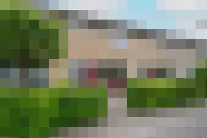 Ellertsveld 10 Veendam thumbnail 24