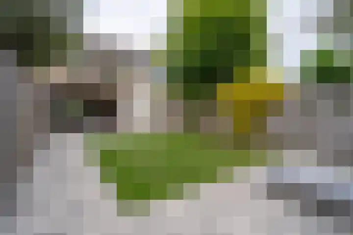 Ellertsveld 10 Veendam thumbnail 5