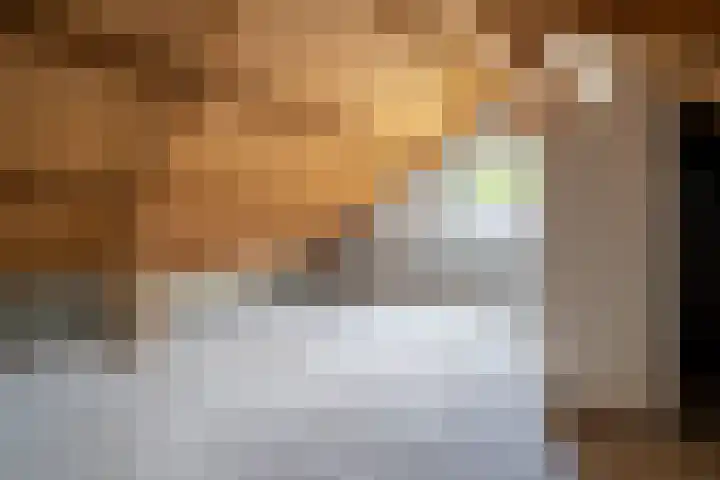 Ellertsveld 2 Veendam thumbnail 16