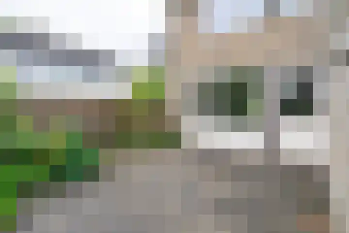 Ellertsveld 2 Veendam thumbnail 19