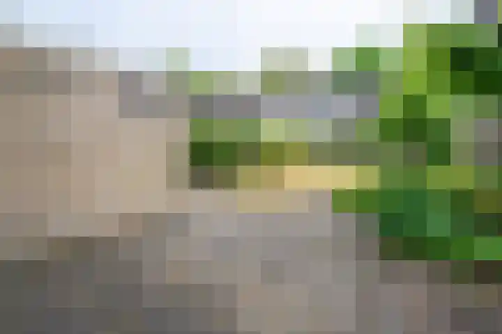 Ellertsveld 2 Veendam thumbnail 20