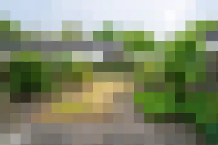 Ellertsveld 2 Veendam thumbnail 22