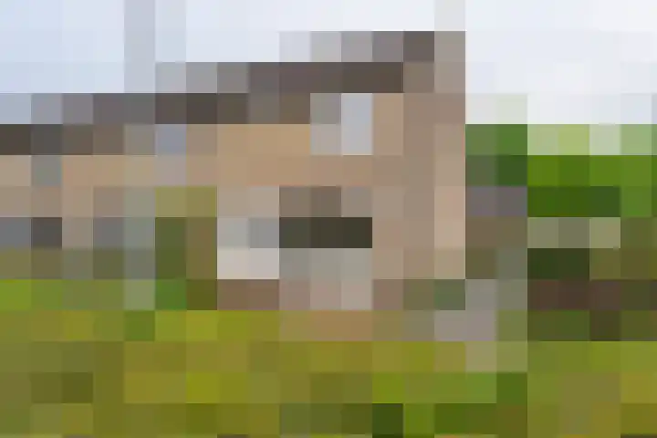 Ellertsveld 2 Veendam thumbnail 23