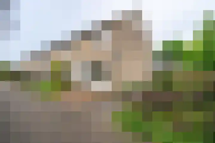 Ellertsveld 2 Veendam thumbnail 24