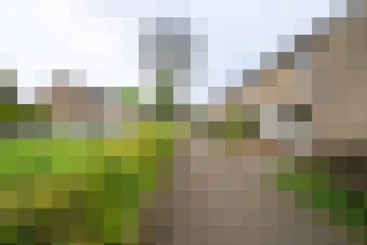 Ellertsveld 2 Veendam thumbnail 25