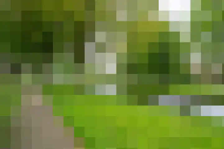 Ellertsveld 2 Veendam thumbnail 27