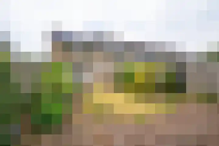 Ellertsveld 2 Veendam thumbnail 4