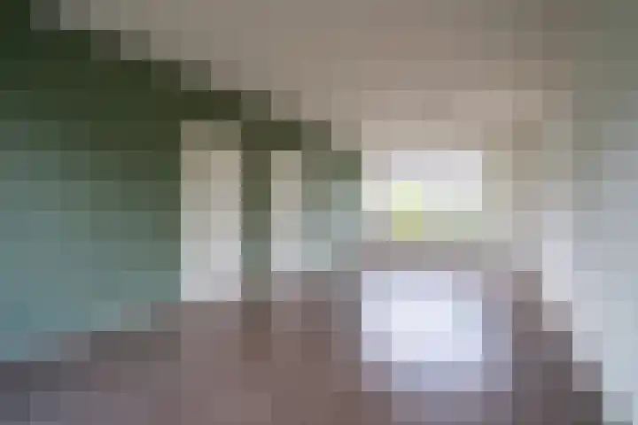 Ellertsveld 2 Veendam thumbnail 7