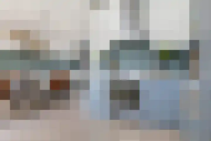 Ellertsveld 22 Veendam thumbnail 14