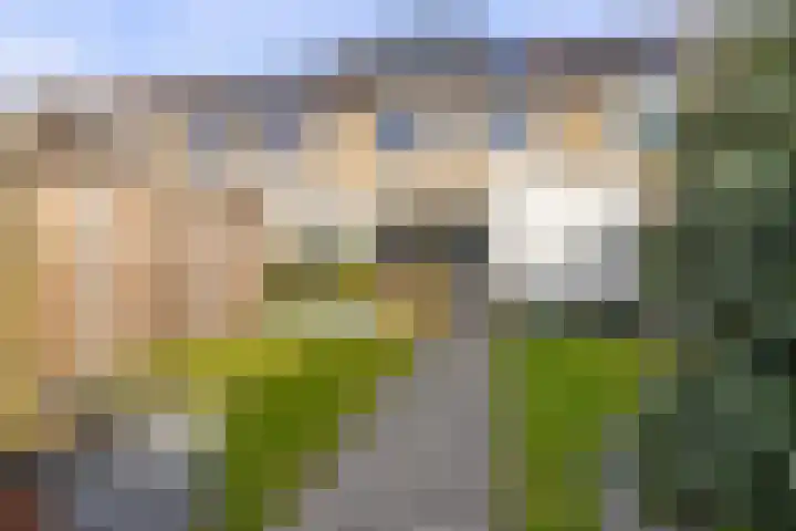 Ellertsveld 22 Veendam thumbnail 38