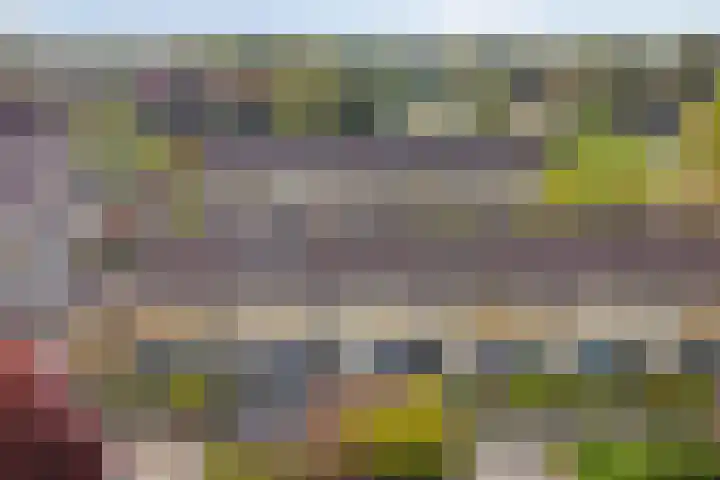 Ellertsveld 22 Veendam thumbnail 5