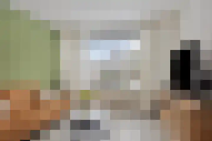 Ellertsveld 7 Veendam thumbnail 11