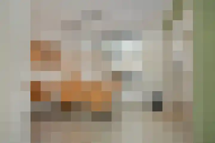 Ellertsveld 7 Veendam thumbnail 15