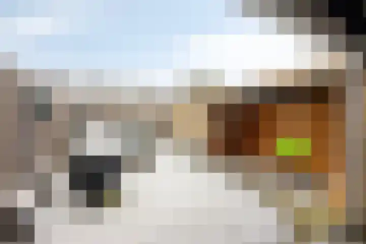 Ellertsveld 7 Veendam thumbnail 38