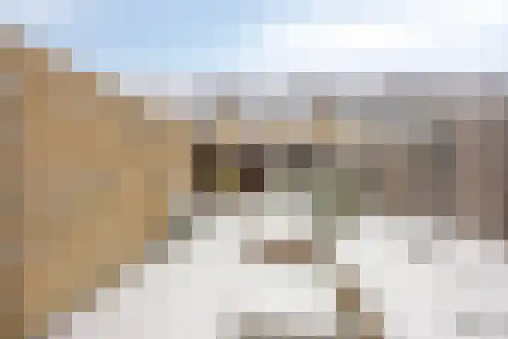 Ellertsveld 7 Veendam thumbnail 41