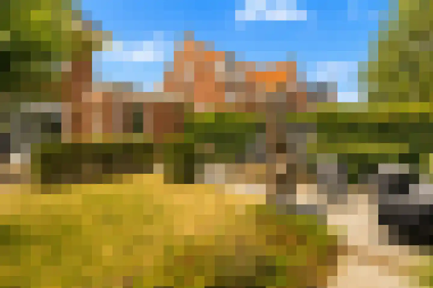 Ellertsveldlaan 41 Den Haag thumbnail 26