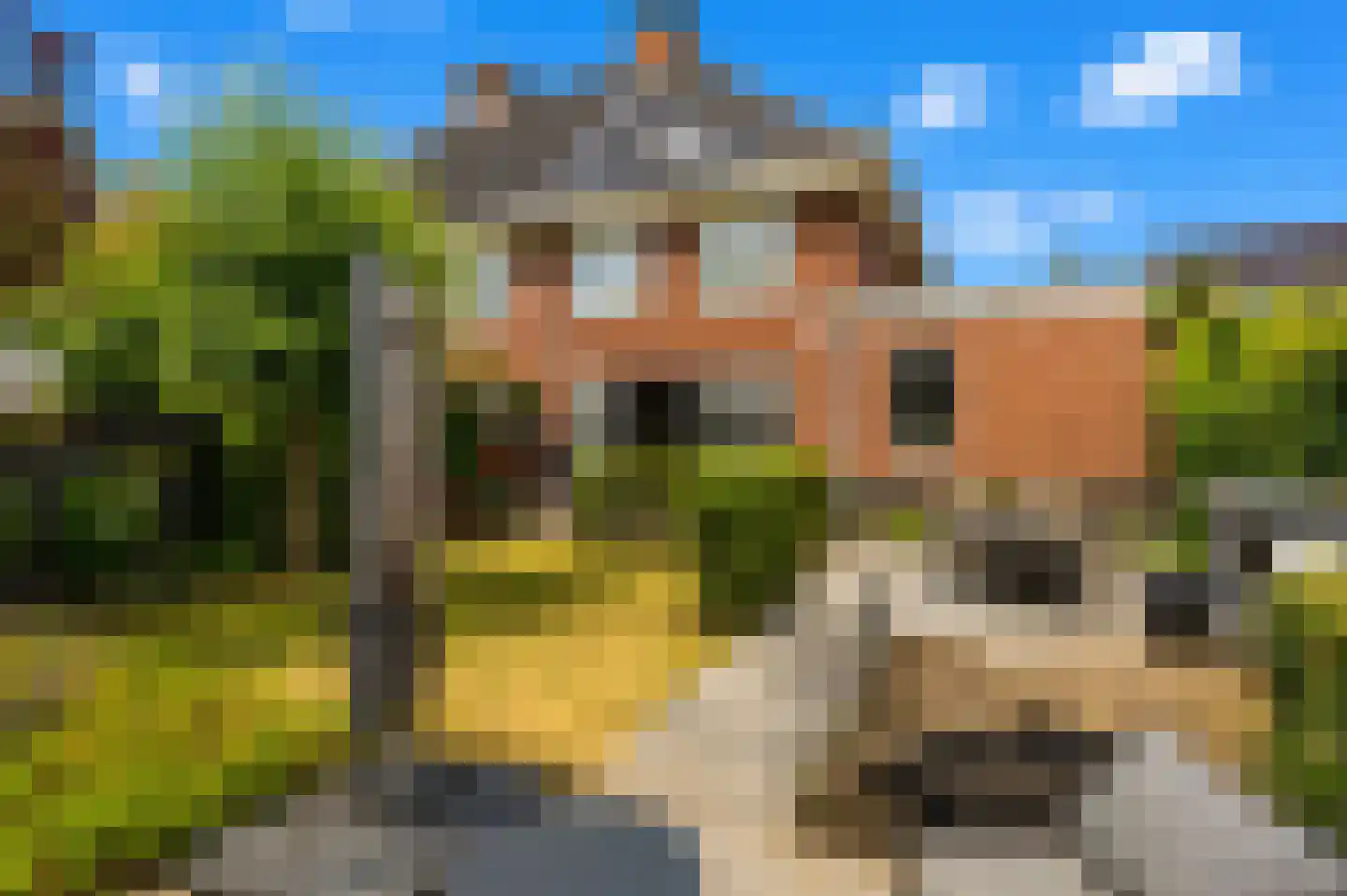 Ellertsveldlaan 41 Den Haag thumbnail 4