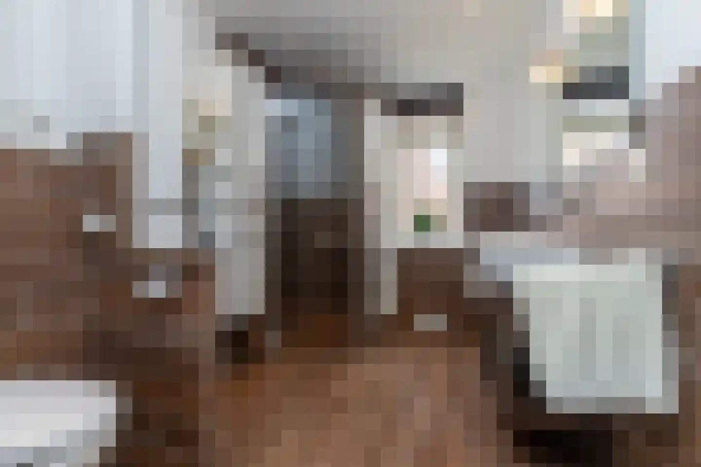 Ellertsveldlaan 41 Den Haag thumbnail 40