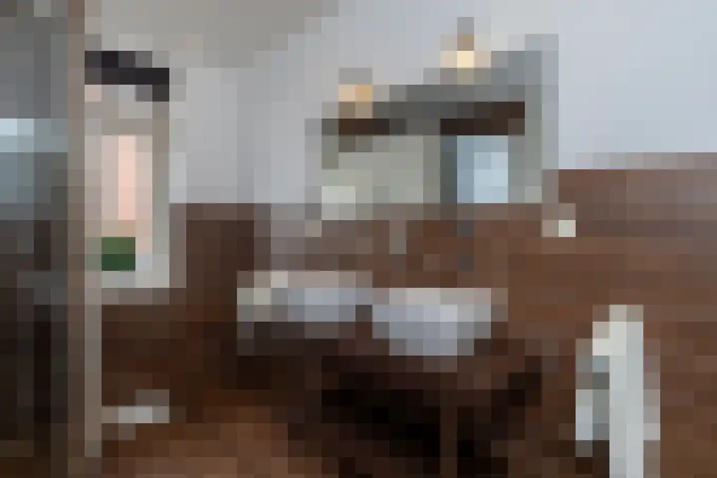 Ellertsveldlaan 41 Den Haag thumbnail 41
