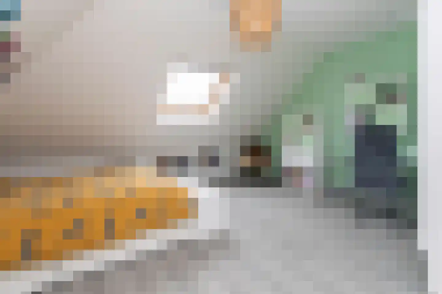 Ellertsveldlaan 41 Den Haag thumbnail 43
