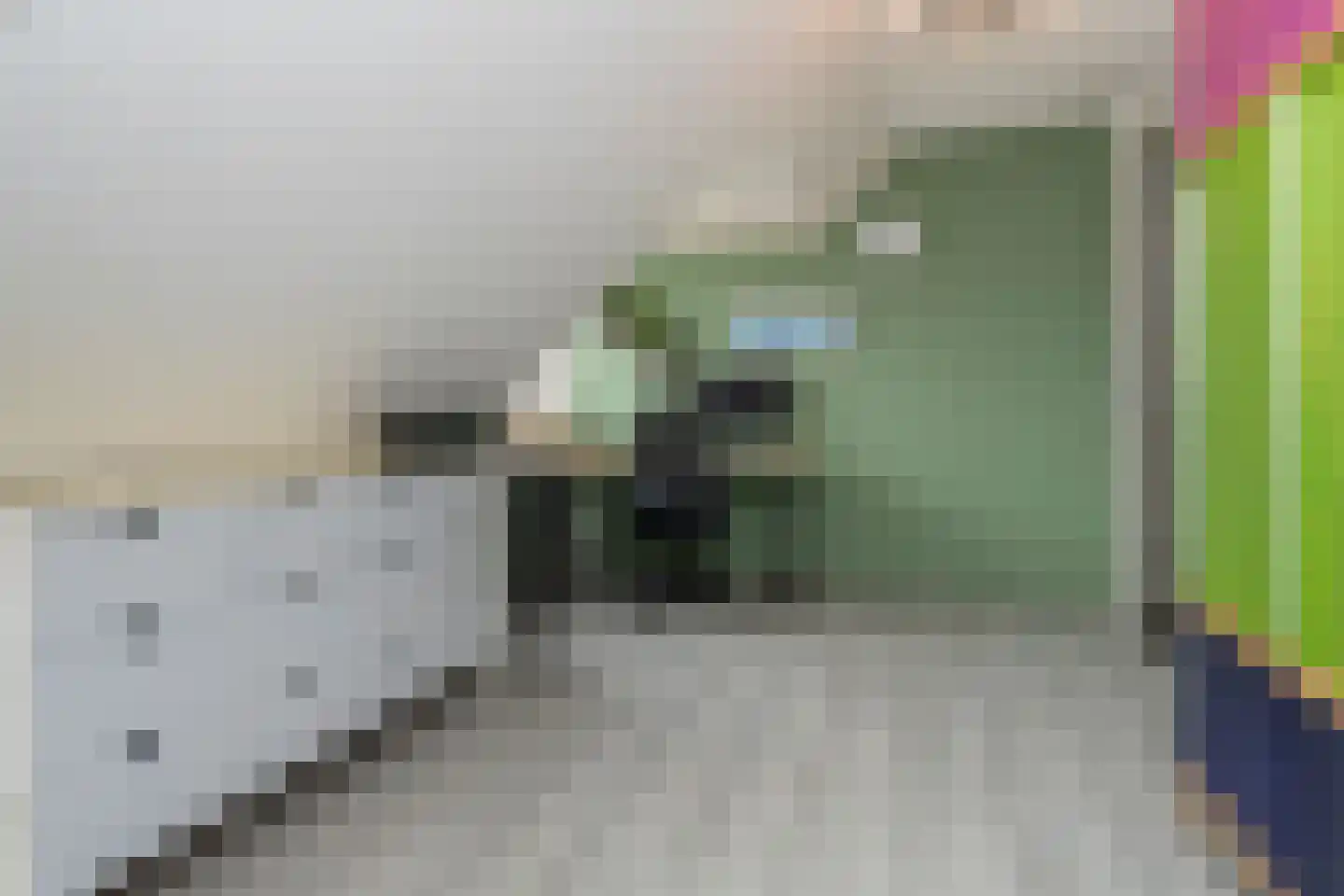 Ellertsveldlaan 41 Den Haag thumbnail 47