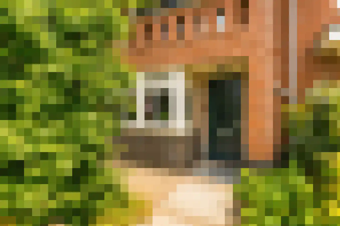 Ellertsveldlaan 41 Den Haag thumbnail 5