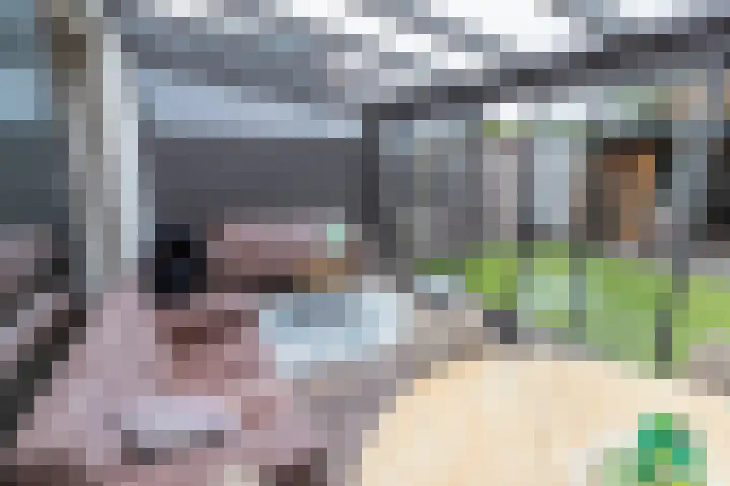 Ellertsveldlaan 53 Den Haag thumbnail 24