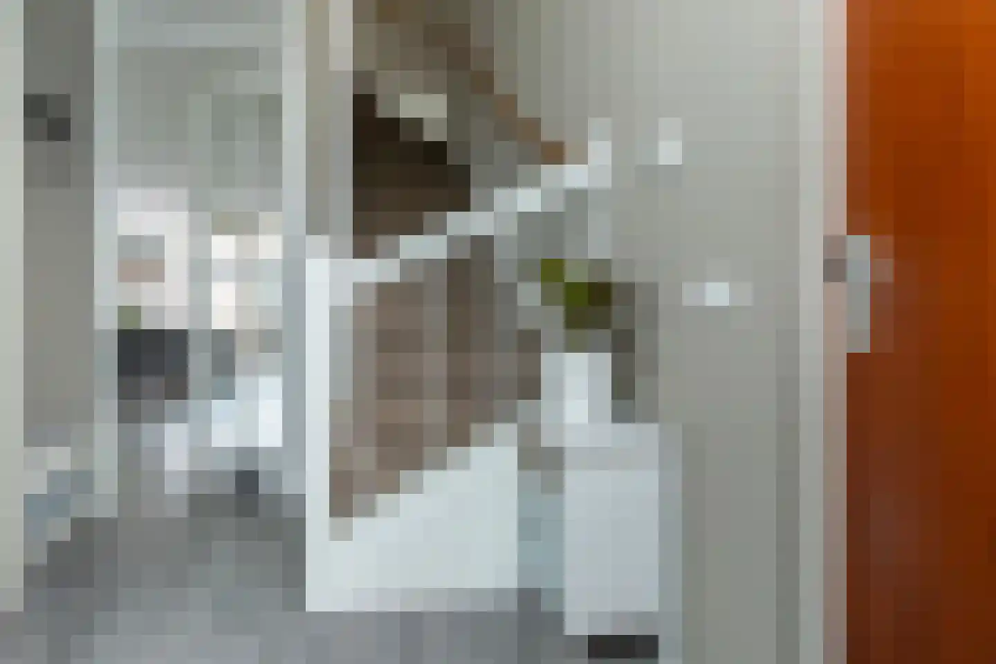 Ellertsveldlaan 53 Den Haag thumbnail 7