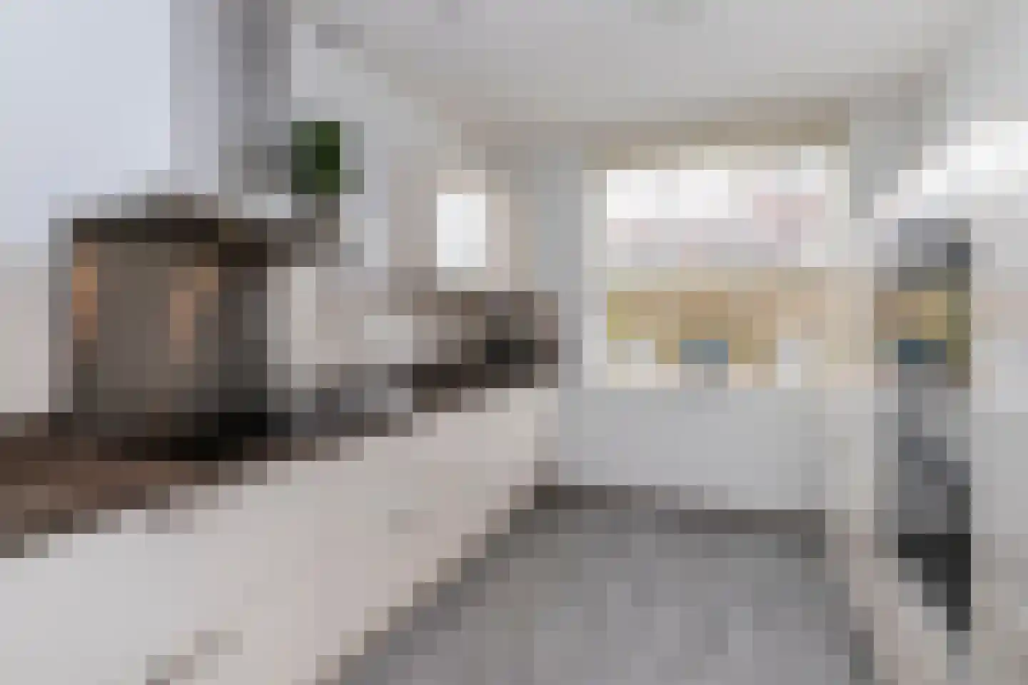 Ellertsveldlaan 53 Den Haag thumbnail 9