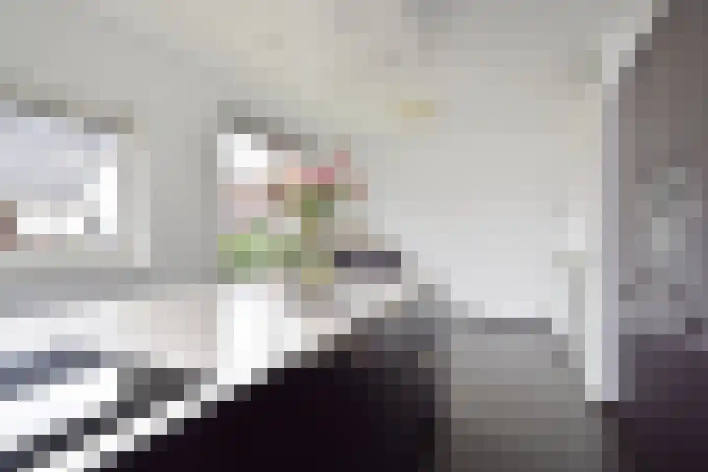 Ellertsveldlaan 99 Den Haag thumbnail 25