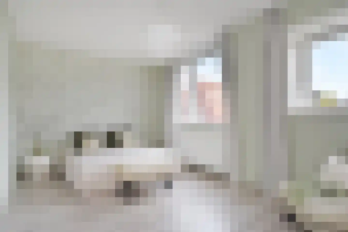 Ellertsveldlaan 99 Den Haag thumbnail 5