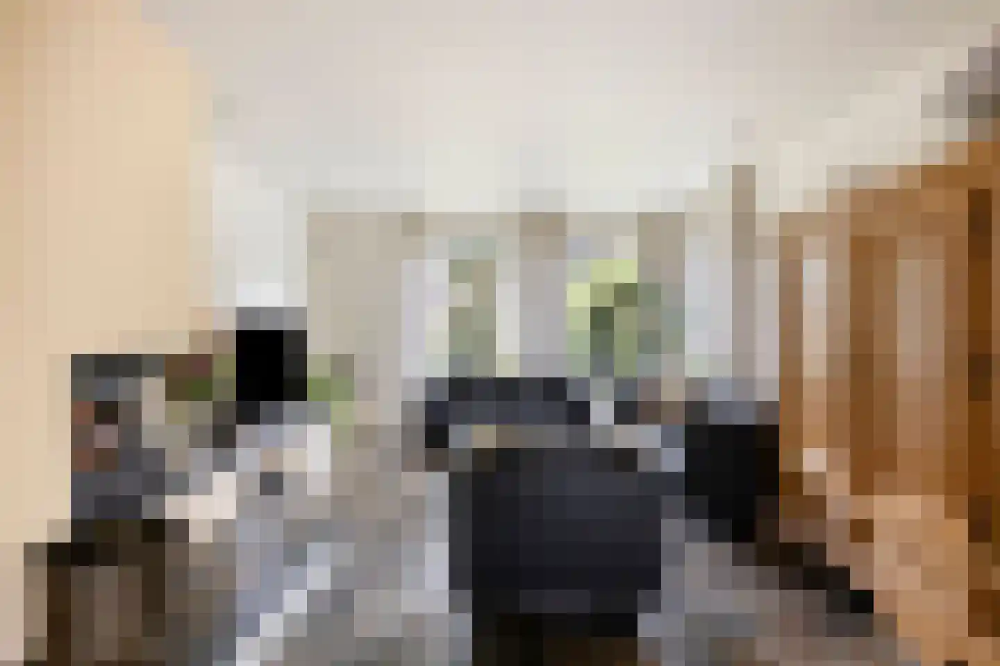 Ellerveld 6 Ell thumbnail 11