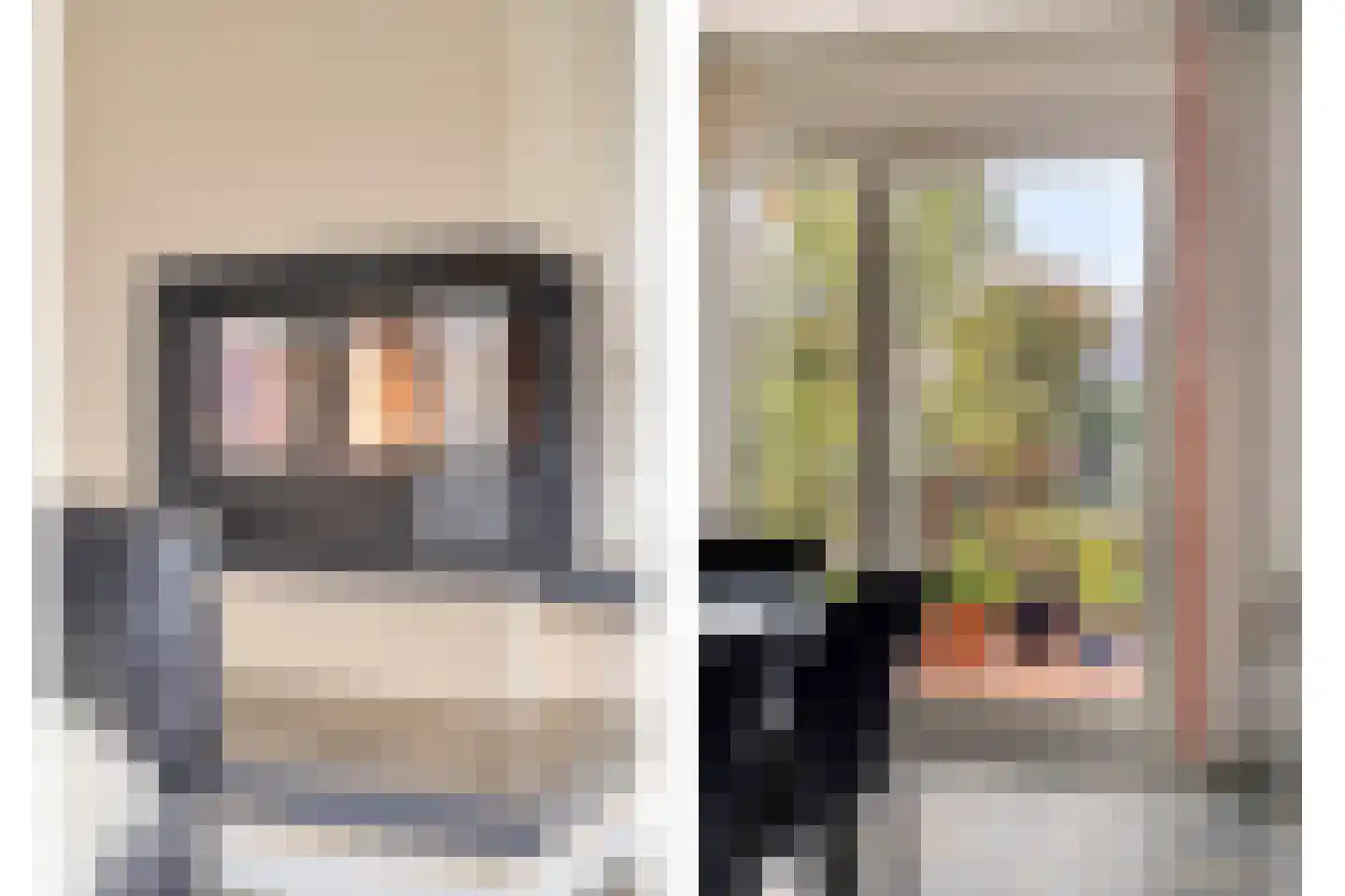 Ellerveld 6 Ell thumbnail 13