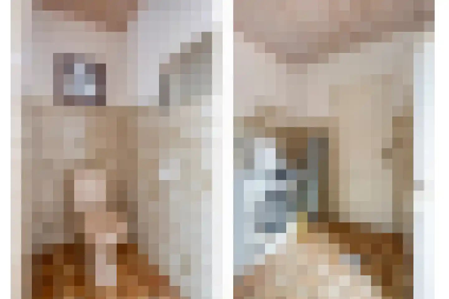Ellerveld 6 Ell thumbnail 23