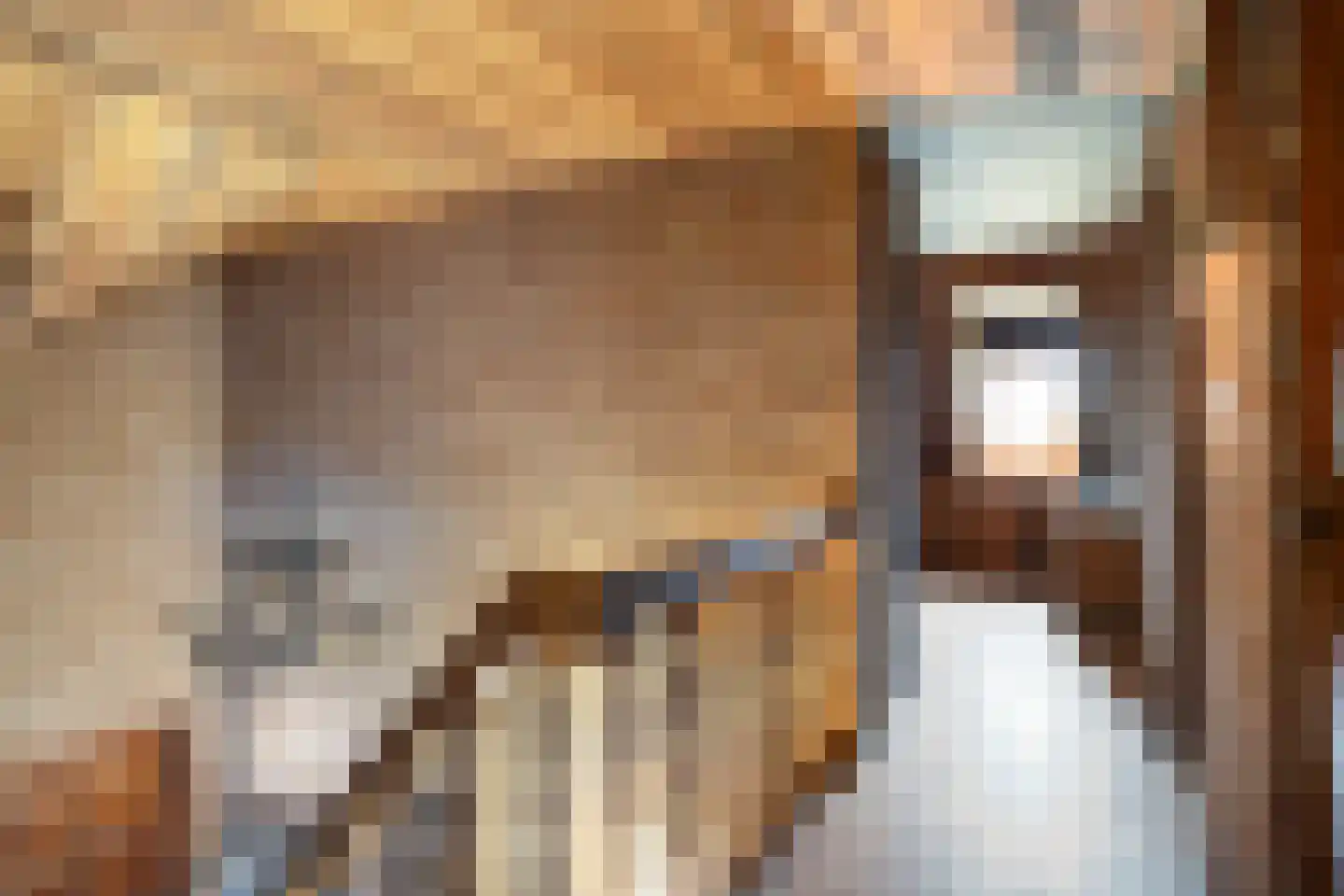 Ellerveld 6 Ell thumbnail 27