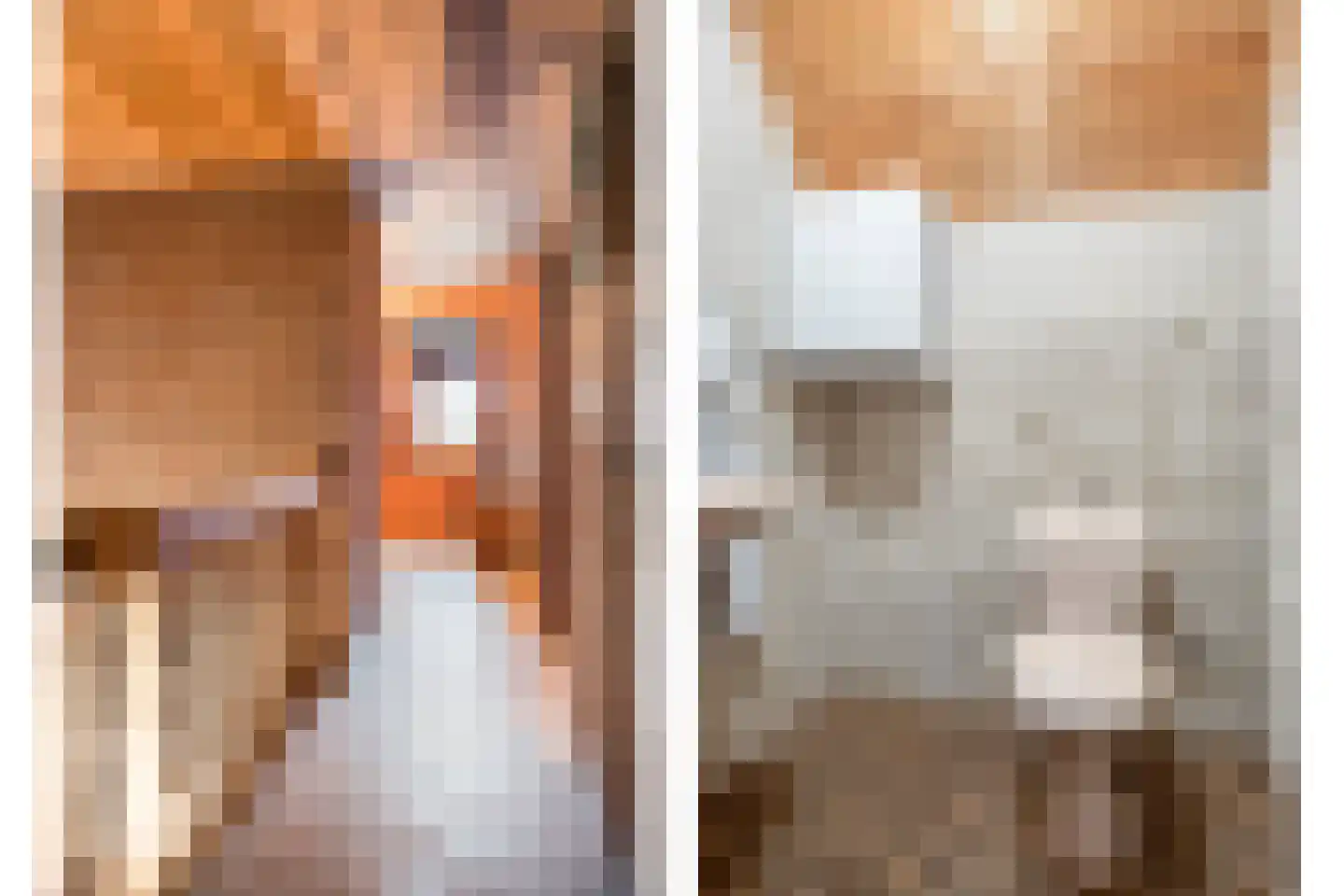 Ellerveld 6 Ell thumbnail 28