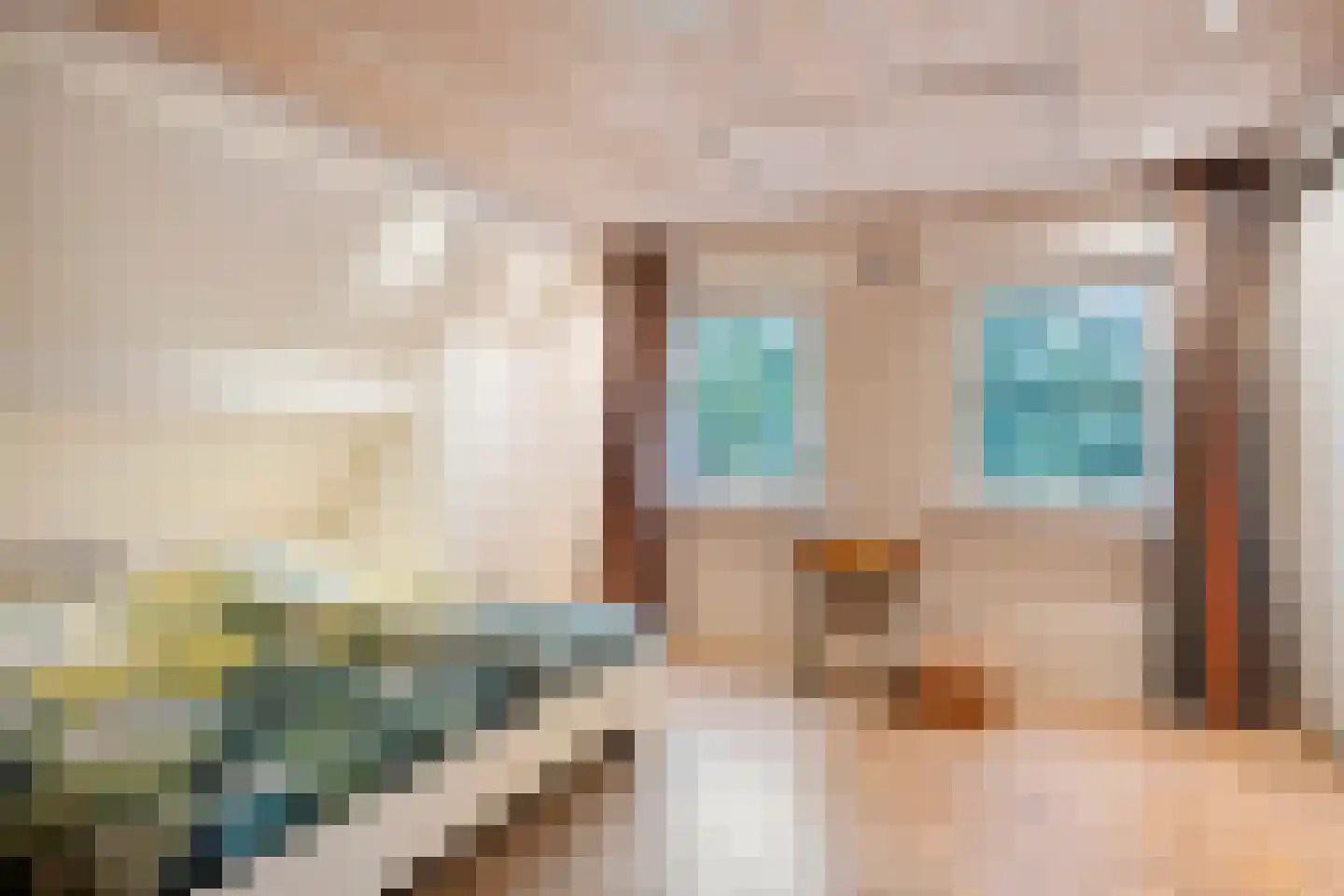 Ellerveld 6 Ell thumbnail 31