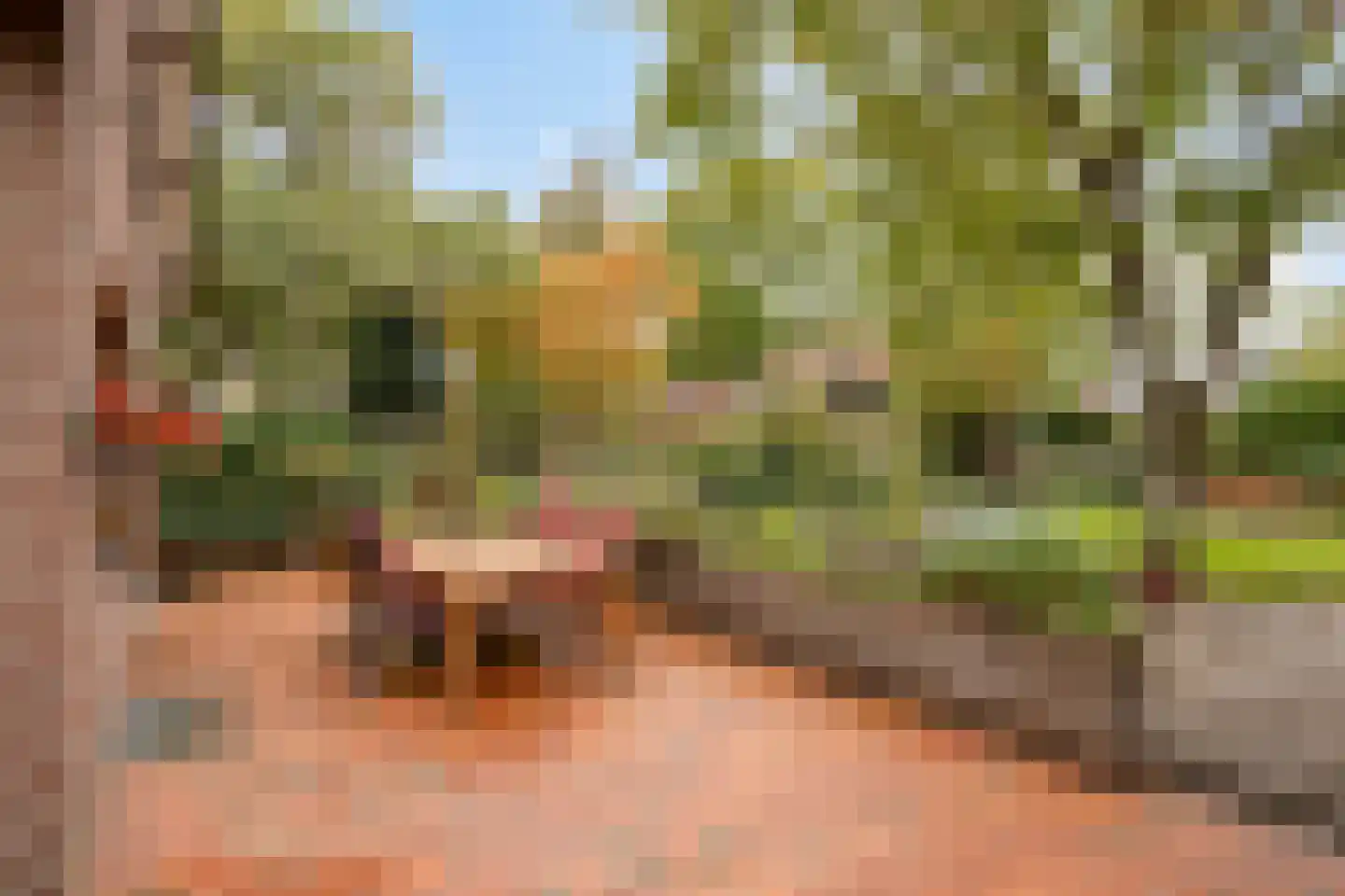 Ellerveld 6 Ell thumbnail 38