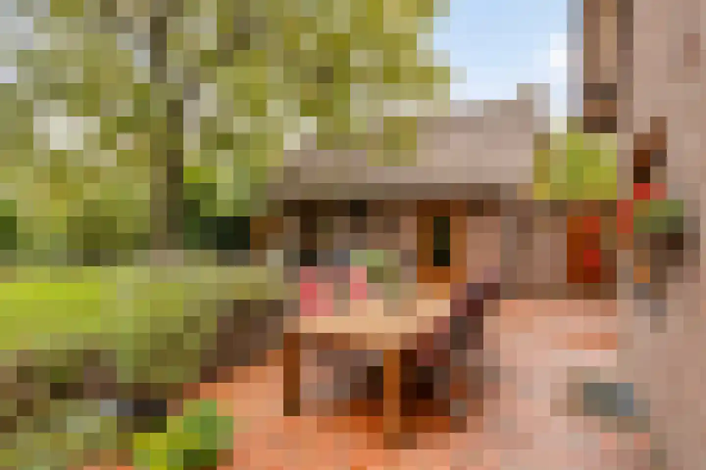 Ellerveld 6 Ell thumbnail 39