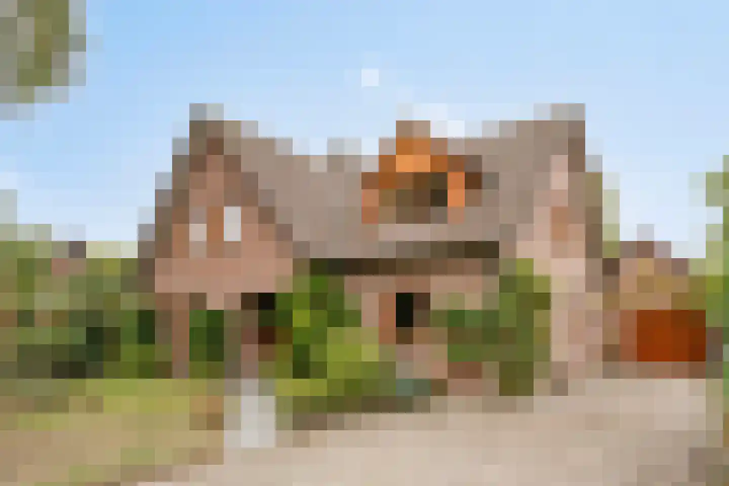 Ellerveld 6 Ell thumbnail 4