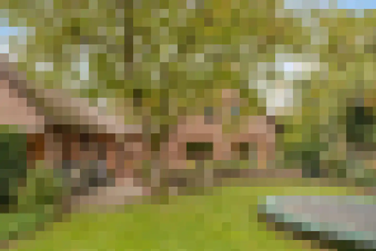 Ellerveld 6 Ell thumbnail 42
