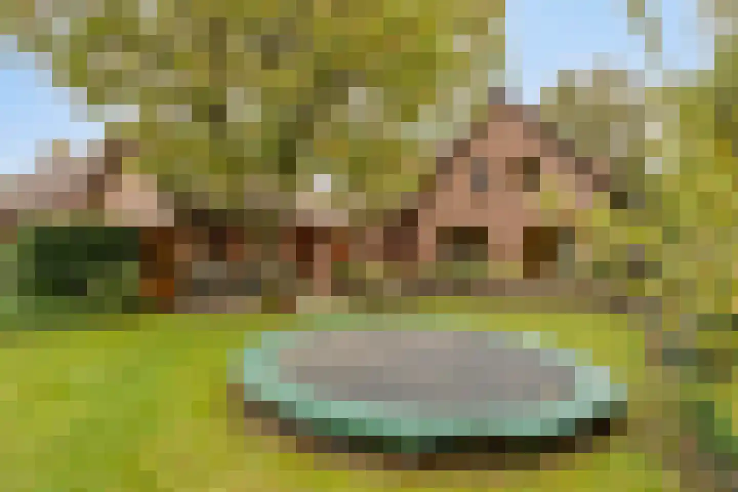 Ellerveld 6 Ell thumbnail 43