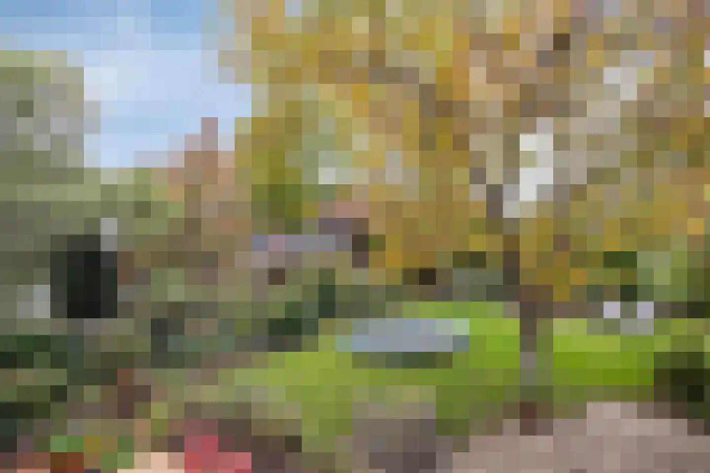 Ellerveld 6 Ell thumbnail 44