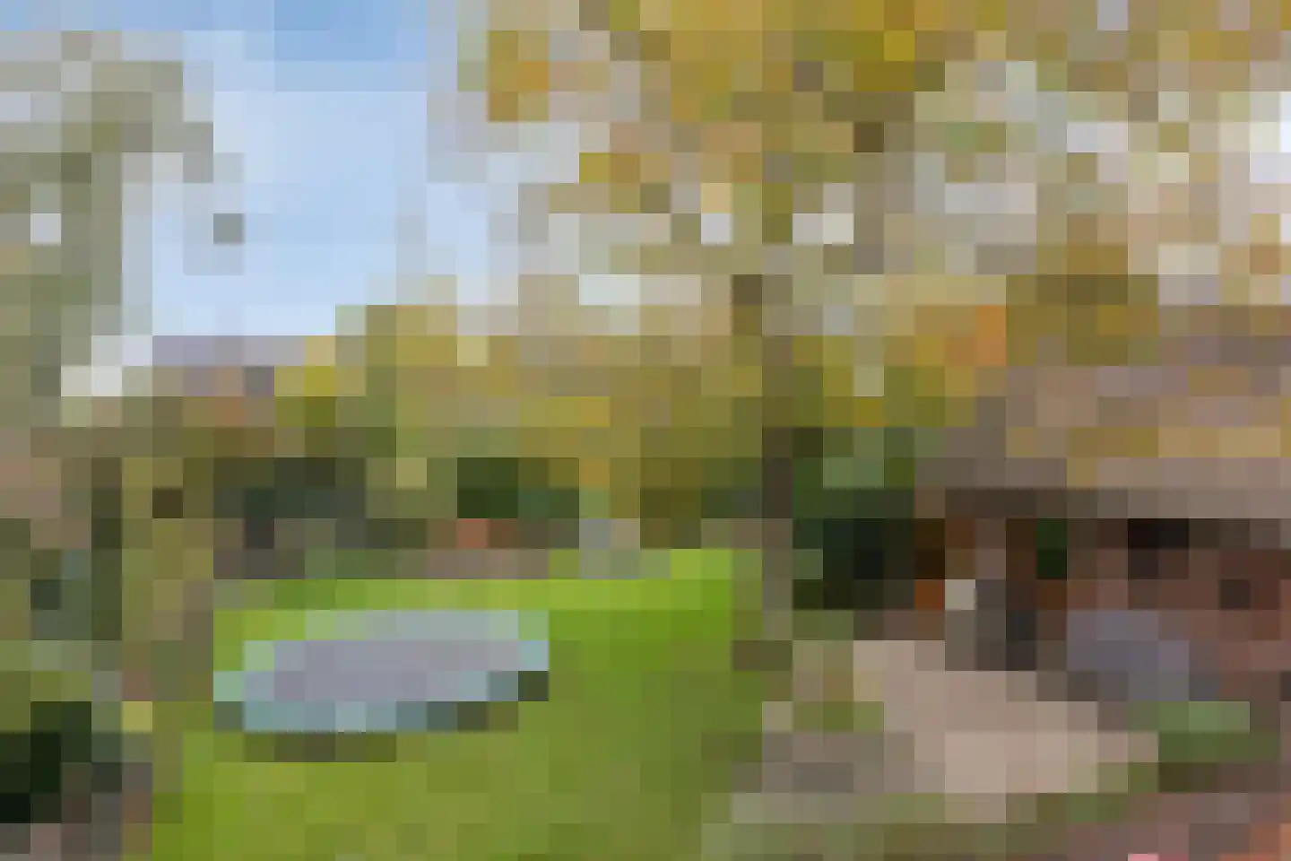 Ellerveld 6 Ell thumbnail 45