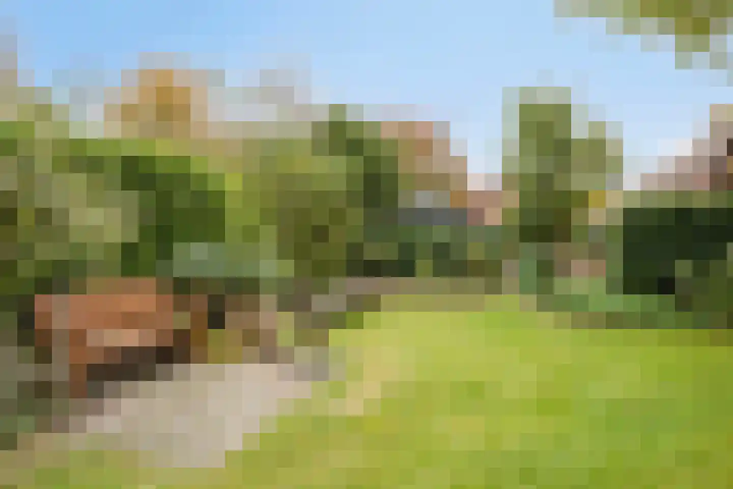 Ellerveld 6 Ell thumbnail 46