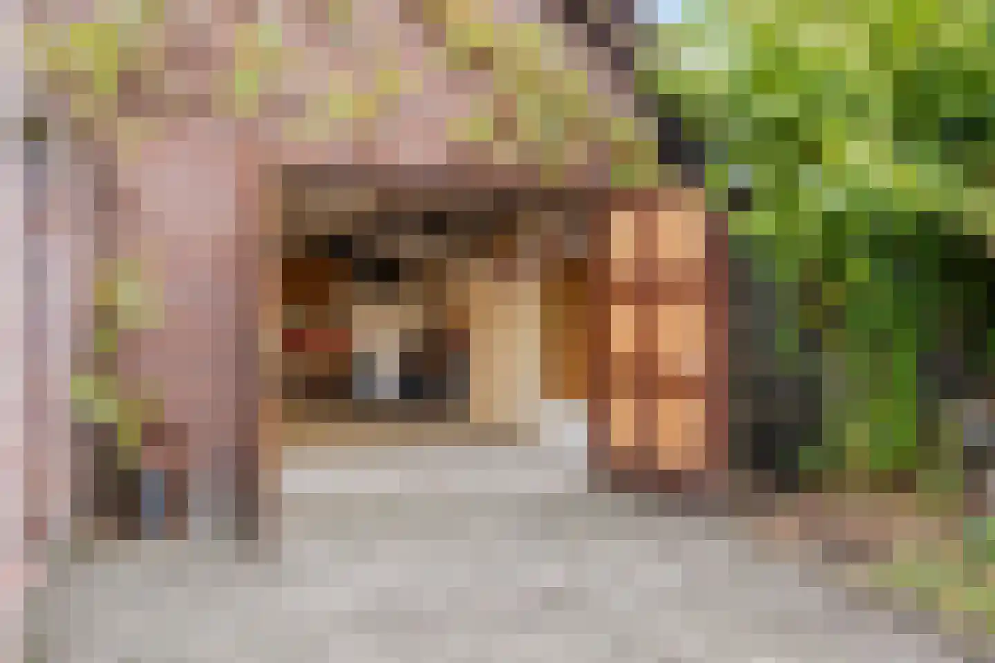 Ellerveld 6 Ell thumbnail 47